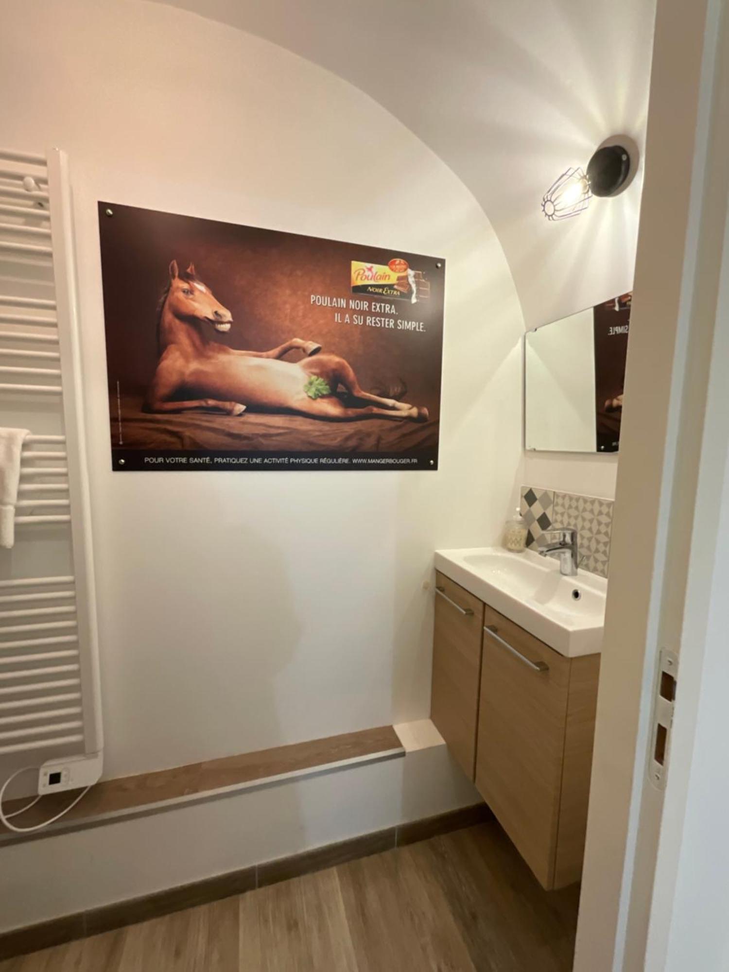 Appartement "Poulain" En Centre-Ville Linge Inclus Blois Buitenkant foto